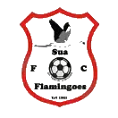 Sua Flamingoes logo