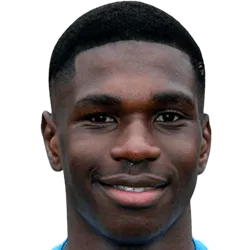 Loick Denis Henry Ayina logo