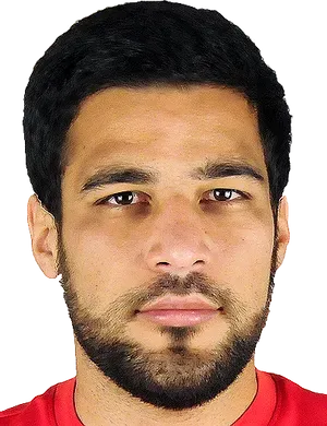 Artur·Olmezov photo 