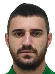 Ivaylo Mihaylov logo