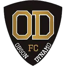 Obson Dynamo FC logo