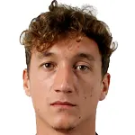 Niccolò Giannetti logo