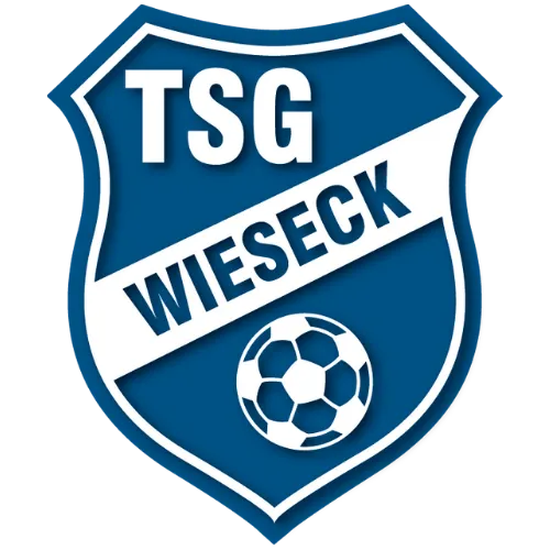 TSG Wieseck U17 logo