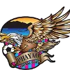 Phayao FC U19 logo