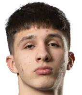 dominykas pasilys logo