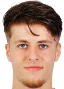 Gabriel Danuleasa logo