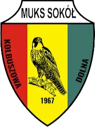 Sokol Kolbuszowa Dolna logo