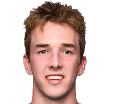 Calem Nieuwenhof logo