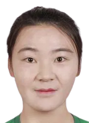 Liu Wenjing logo