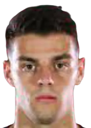 Niccolo Pierozzi logo