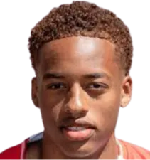 Rayvien·Rosario logo