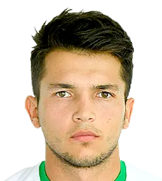 Vladyslav Dubinchak logo