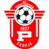 Rabotnicki Skopje U19 logo