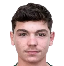 José Manuel Bica Reis portrait