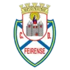 Feirense U17 logo