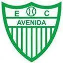 Avenida RS logo