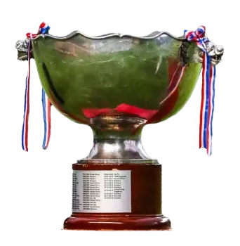 Hong Kong cup winner logo