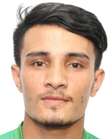 Shahidul·Islam logo