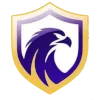 Falcon FC SE Youth logo