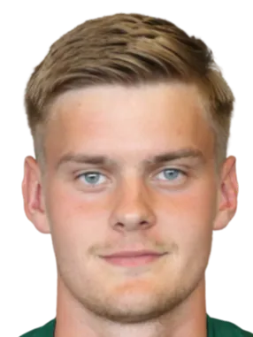 Dadi Baerings Halldórsson logo