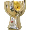 Turkish Super Cup winner logo