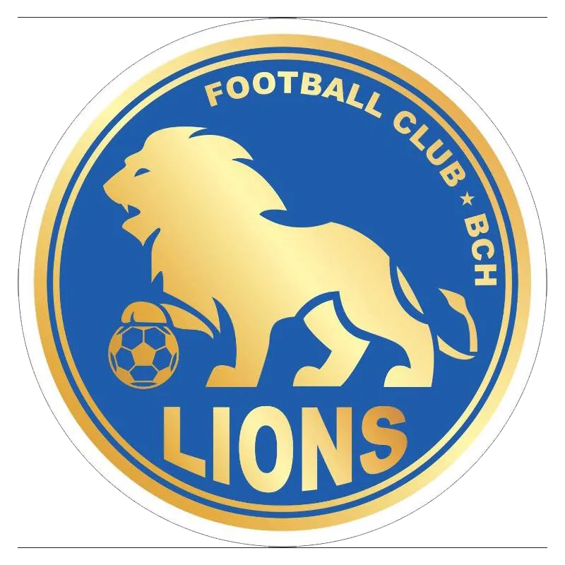 BCH Lions