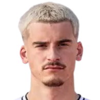 Niklas Horst Castelle logo