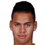 Daniel Engelbrecht logo