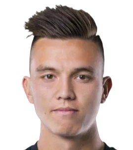 Daniel Prochazka logo