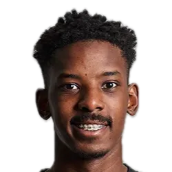 Ahmed Malalla Yadoo logo