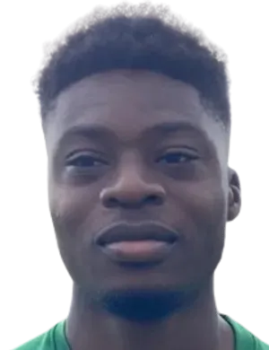 Junior Lougah Djile logo