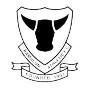 Ramhlun Athletic logo