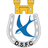 Dungannon Swifts logo