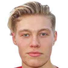 Birnir Snaer Ingason logo