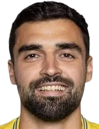 marko vardic portrait