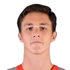 Dachi Lordkipanidze logo