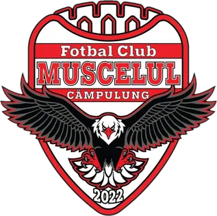 Muscelul Campulung 2022 U19 logo