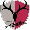Kashima Antlers (Youth) logo