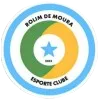 Rolim de Moura logo