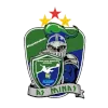 Minas ICESP DF Women logo