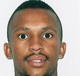 Willy·Stephanus logo