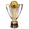 Turkish champion logo