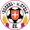 Volyn U21 logo