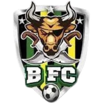 Bucaneros de Zitacuaro FC logo