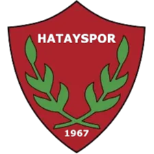 Hatay Defnespor (W) logo