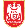 Sleza Wroclaw U19 logo