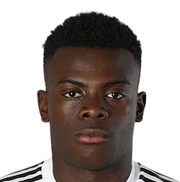 Paolo Gozzi Iweru logo