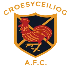 Croesceiliog logo