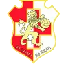 Naxxar Lions logo