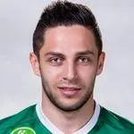 Vladica Brdarovski logo